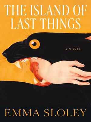 cover image of The Island of Last Things